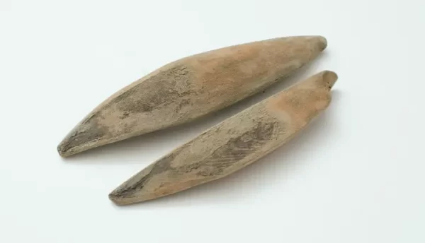 タイコウの本枯節