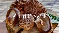 高級干し椎茸の世界